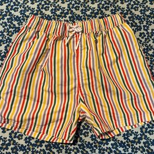 Vibrant Striped Kids Swim Trunks